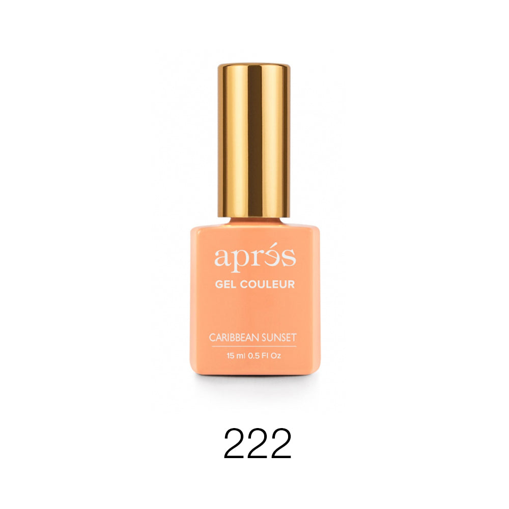 Apres - Gel Couleur (#221 - #230) - HEMA/TPO Free - #222