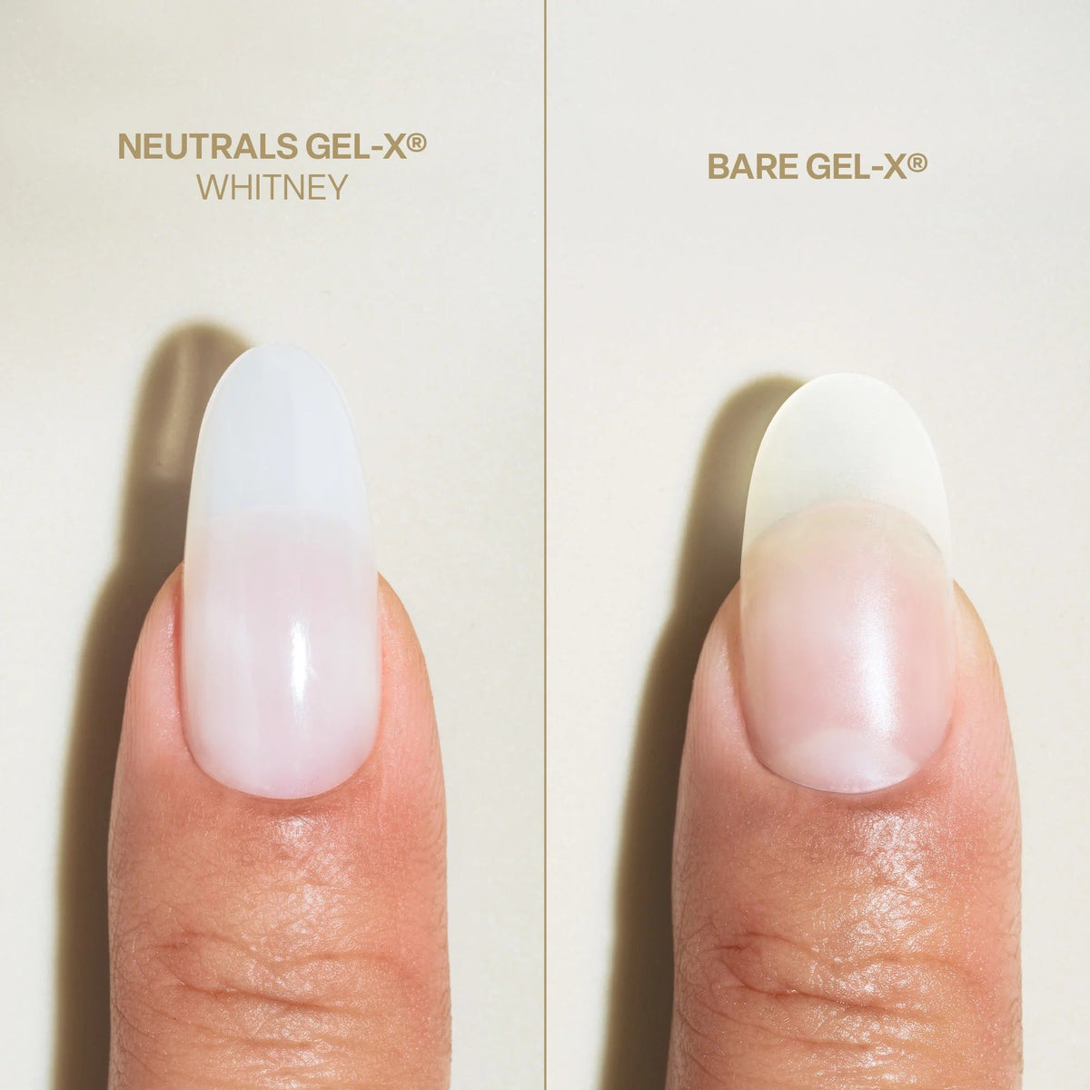 Apres Bare Gel-X Natural Box of Tips 280pcs