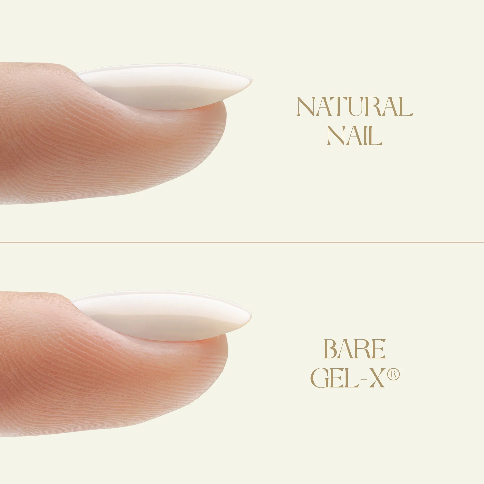 Apres Bare Gel-X Natural Box of Tips 280pcs