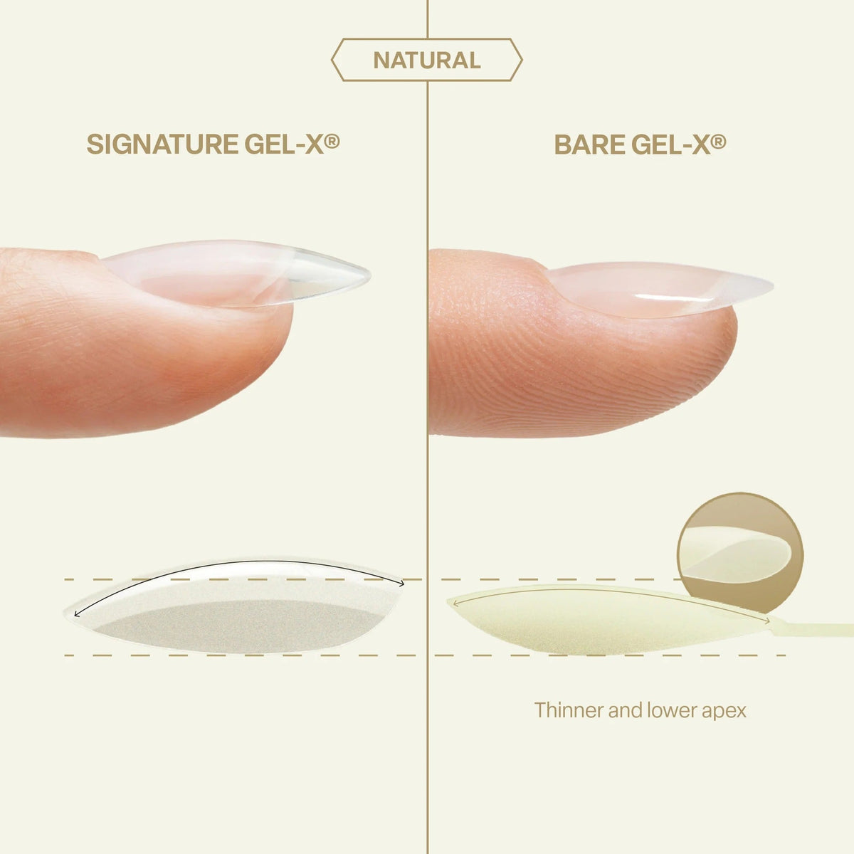 Apres Bare Gel-X Natural Box of Tips 280pcs
