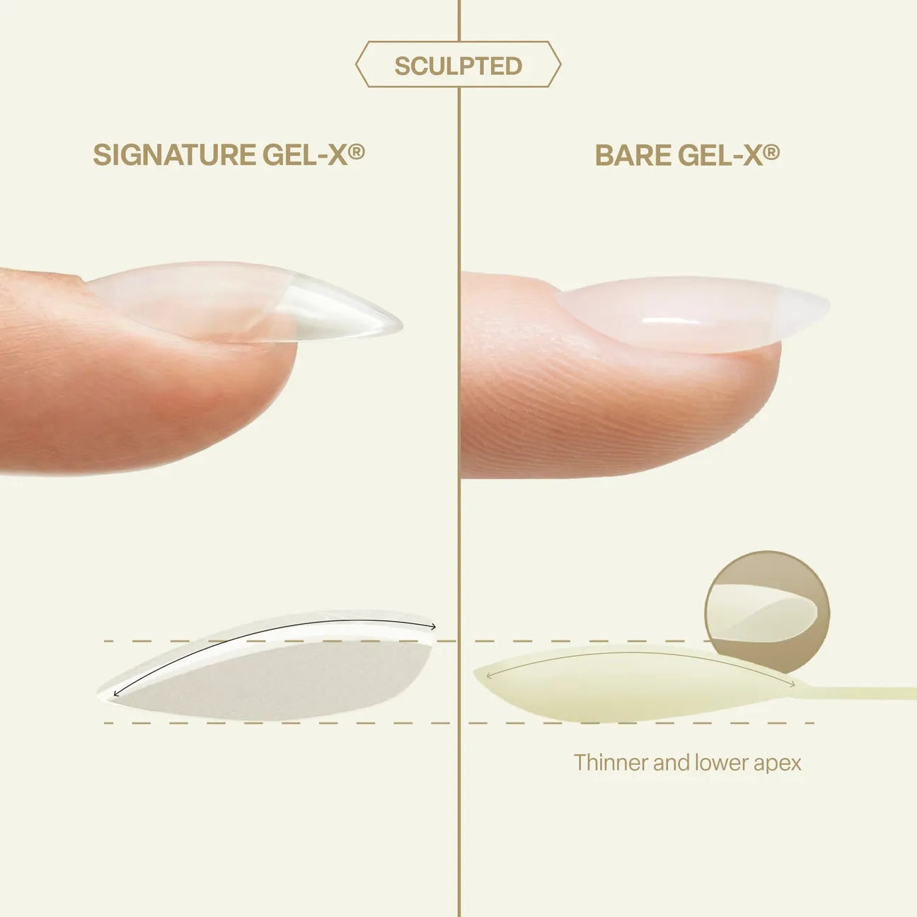 Apres Bare Gel-X Sculpted Box of Tips 280pcs